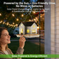 🏆Last Day Promo: 55% OFF 🎖️Solar‐Powered Hanging Bird Feeder with Glow – Sturdy Metal Hopper Design🌙🐦