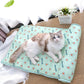 Cool Dog Mat 🐶Buy 2 Get extra 20% off!