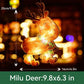 🎄Christmas Window Hanging Lights🎁🎁BUY 2 GET 1 FREE