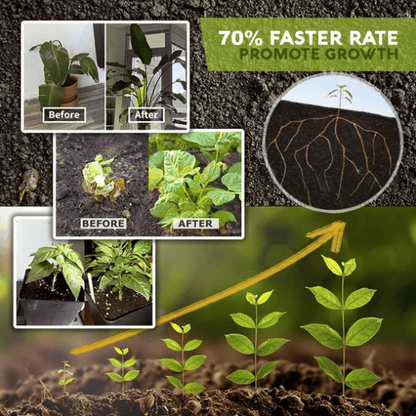 Organic Growth Powder