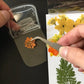 (🔥HOT SALE 49% OFF) Dried Flower Bookmarks Diy Set(without dried flowers) & 30PCS/SET