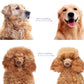 Professional Deshedding Tool for Dogs & Cats – Gentle, Efficient & Fur-Free Home ✨💖